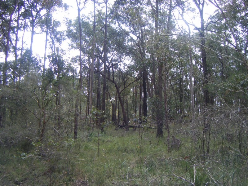 5 The Bucketts Way, Allworth NSW 2425