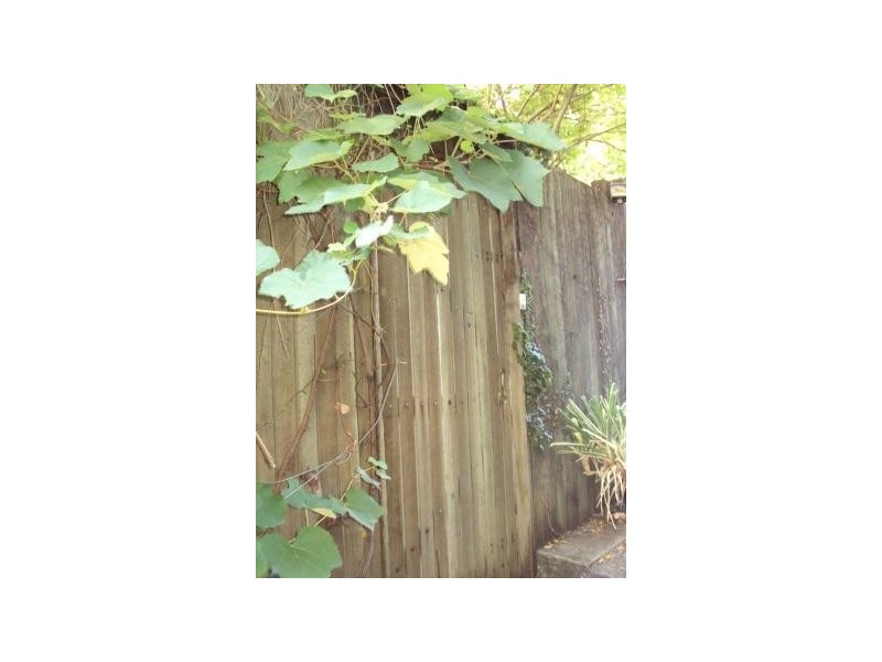 12 Earl Street, Petrie Terrace QLD 4000