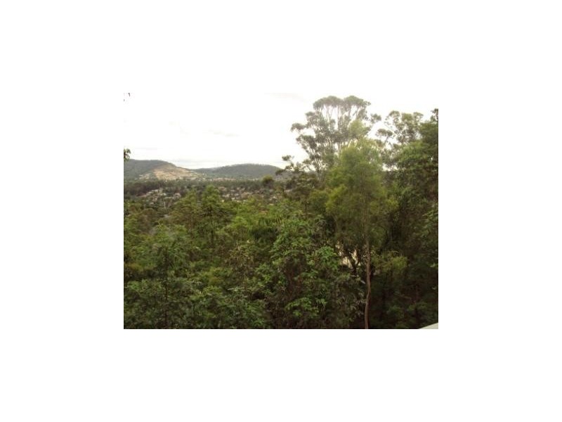 145 Plucks Road, Arana Hills QLD 4054