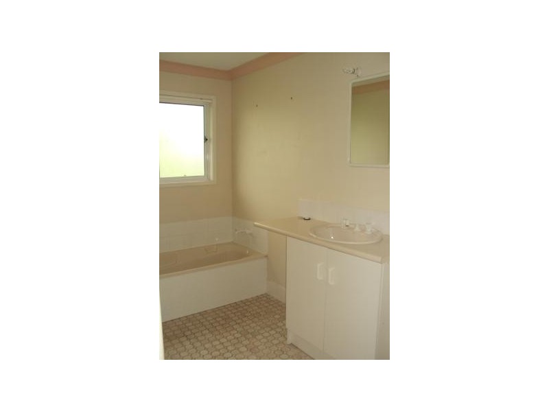 145 Plucks Road, Arana Hills QLD 4054