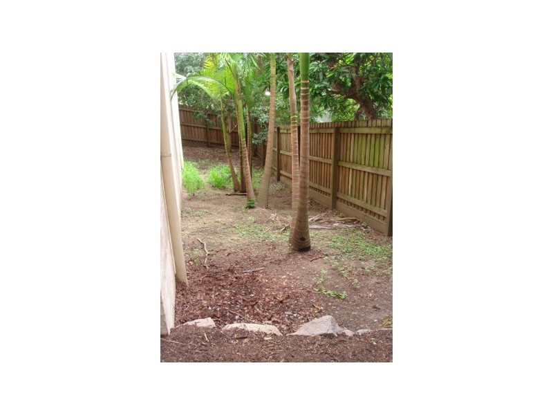 49 Scott Road, Herston QLD 4006