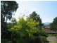 38 George Street, Berry NSW 2535
