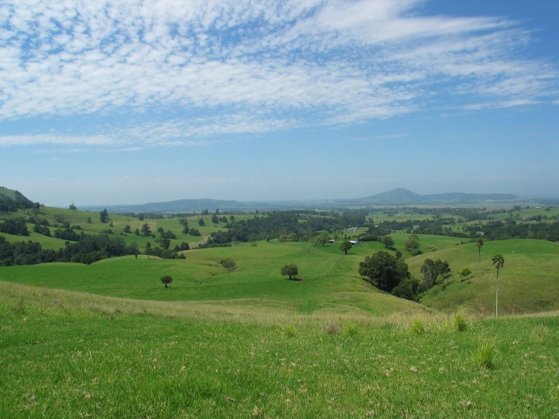 246B Martinvale Lane, Berry NSW 2535