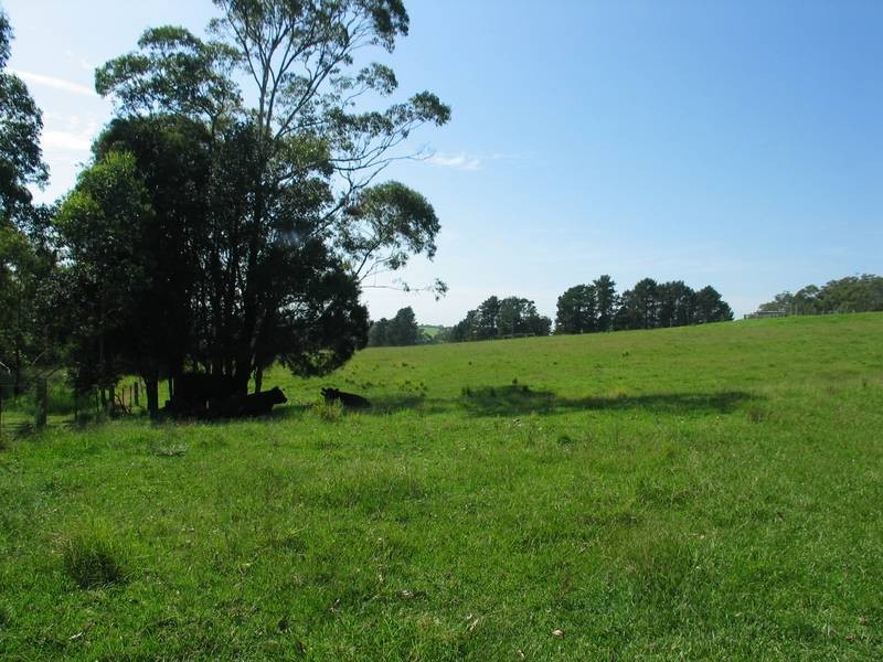 20 Housten Place, Berry NSW 2535