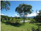 20 Housten Place, Berry NSW 2535