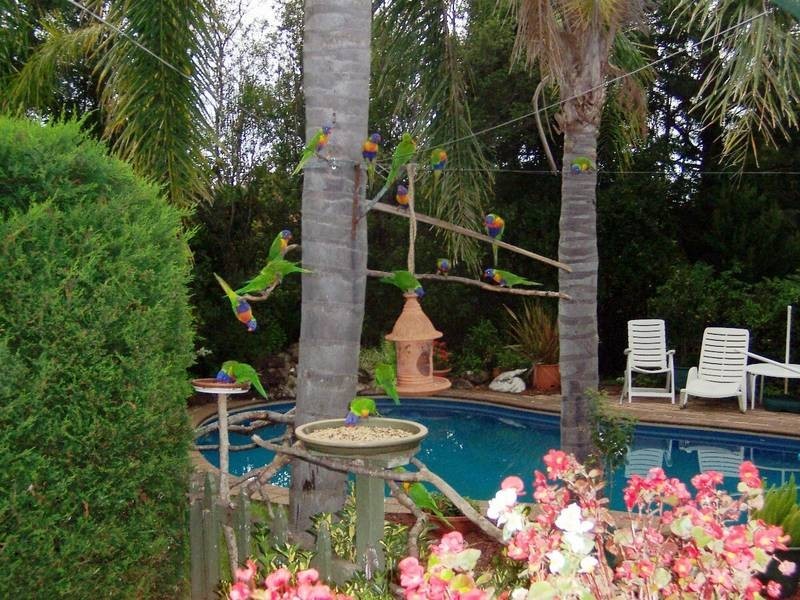 6 Kongoola Avenue, Cambewarra NSW 2540