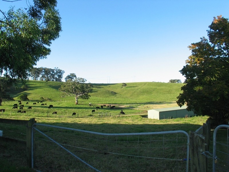 C441D Princes Highway, Berry NSW 2535
