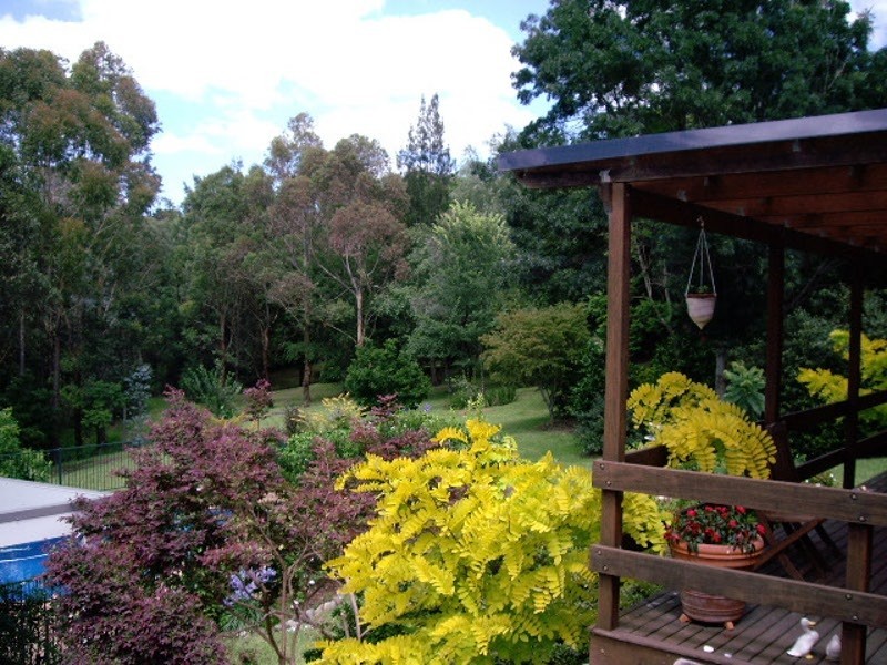 11 Sabal Close, Berry NSW 2535