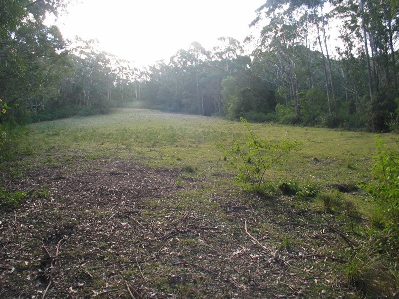 25 Budgong Road, Tapitallee NSW 2540