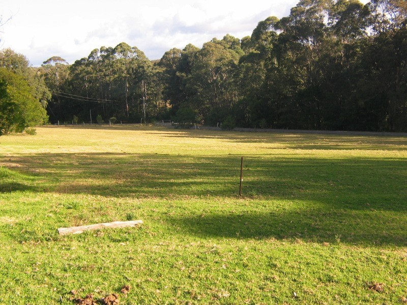 1250 Illaroo Road, Tapitallee NSW 2540