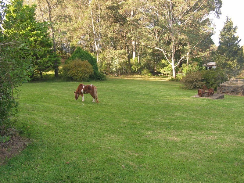 1250 Illaroo Road, Tapitallee NSW 2540