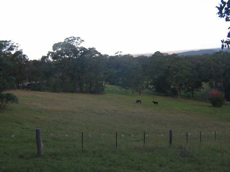 1250 Illaroo Road, Tapitallee NSW 2540