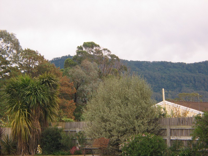 38 Emerald Drive, Meroo Meadow NSW 2540