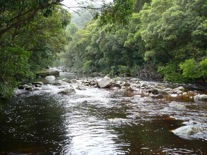 289 Brogers Creek Road, Berry NSW 2535