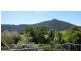 55 Nooramunga, Cambewarra NSW 2540