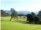 245 Backforest Road, Berry NSW 2535