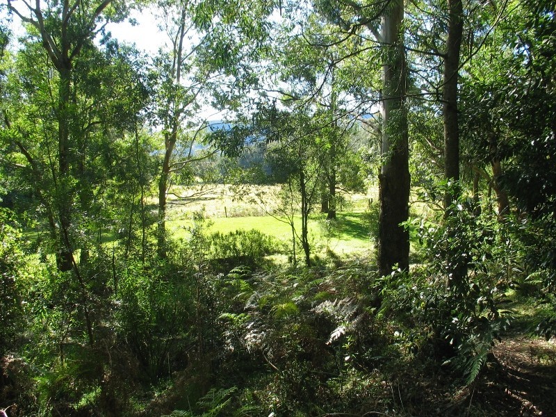 45 Keoghs Road, Kangaroo Valley NSW 2577