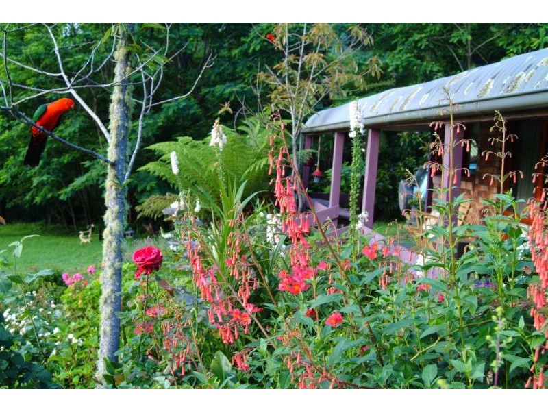 61a Priddles Lane, Berry NSW 2535