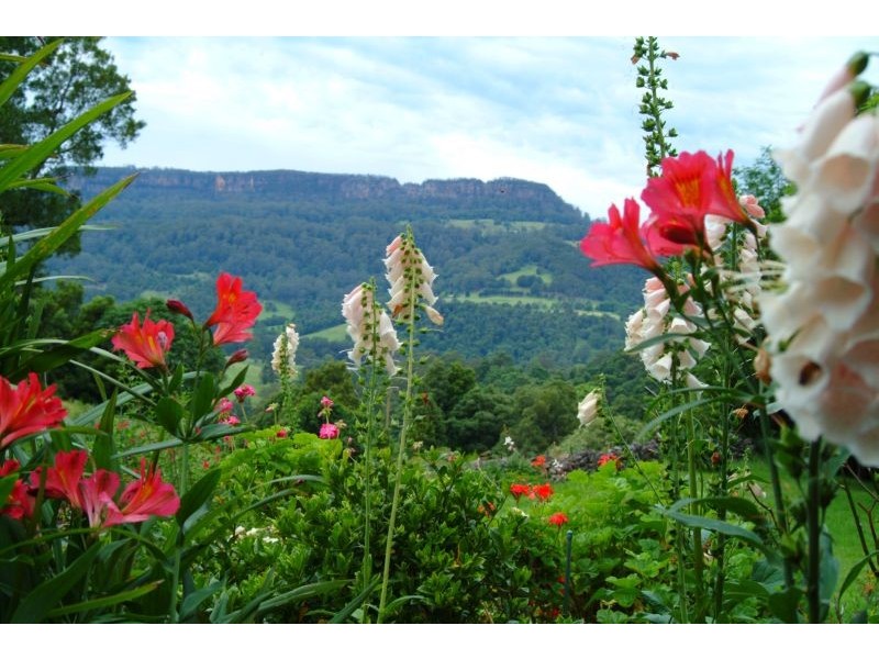 61a Priddles Lane, Berry NSW 2535