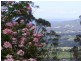 604b Mossvale Road, Cambewarra NSW 2540