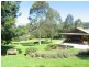 225A Jarretts Lane, Kangaroo Valley NSW 2577