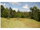 313 Suffolk Road, Tomerong NSW 2540