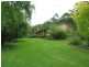 1389 Illaroo Road, Tapitallee NSW 2540