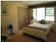 1389 Illaroo Road, Tapitallee NSW 2540