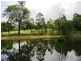 1389 Illaroo Road, Tapitallee NSW 2540