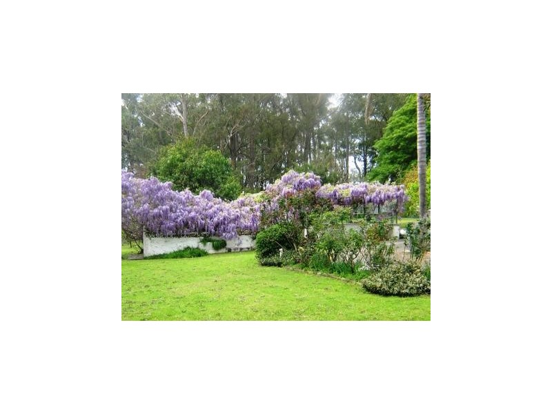 C98 Princes Highway, Bomaderry NSW 2541