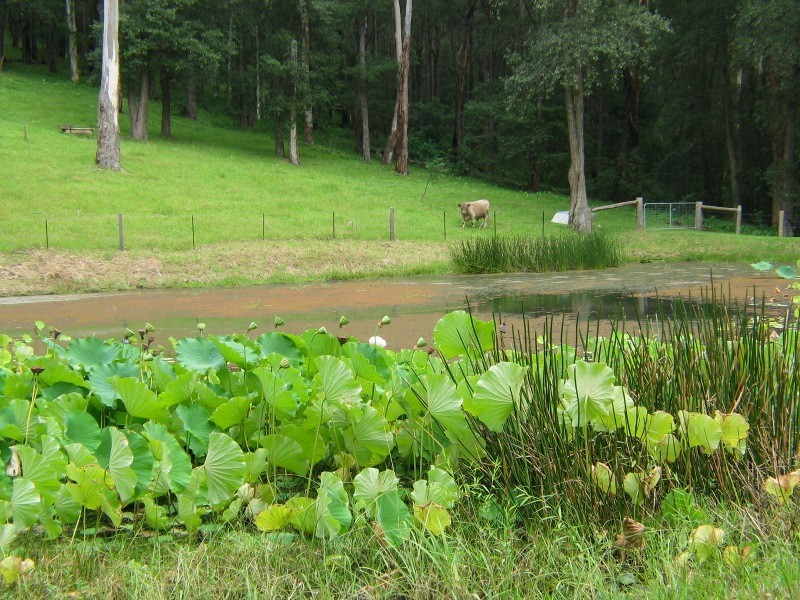 53 Houston Place, Berry NSW 2535