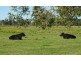 Lot 201,  Comerong Island Road, Comerong Island NSW 2540