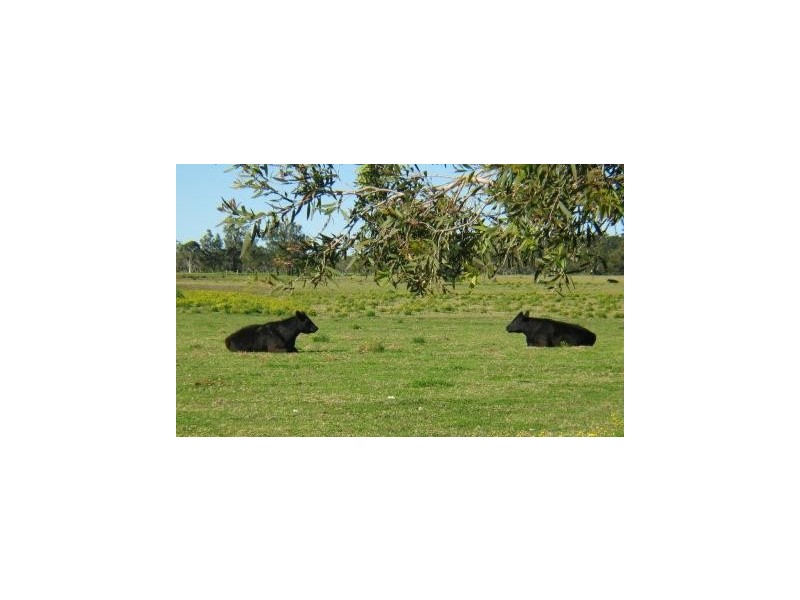 Lot 201,  Comerong Island Road, Comerong Island NSW 2540