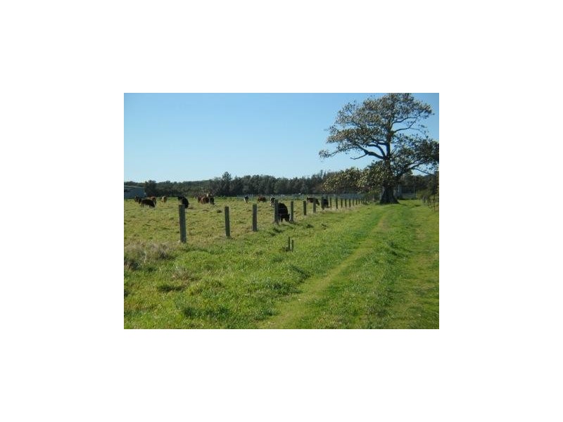 Lot 201,  Comerong Island Road, Comerong Island NSW 2540