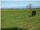 Lot 201,  Comerong Island Road, Comerong Island NSW 2540