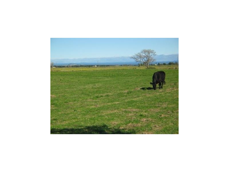 Lot 201,  Comerong Island Road, Comerong Island NSW 2540