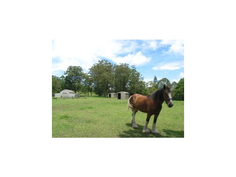 80 Agars Lane, Berry NSW 2535