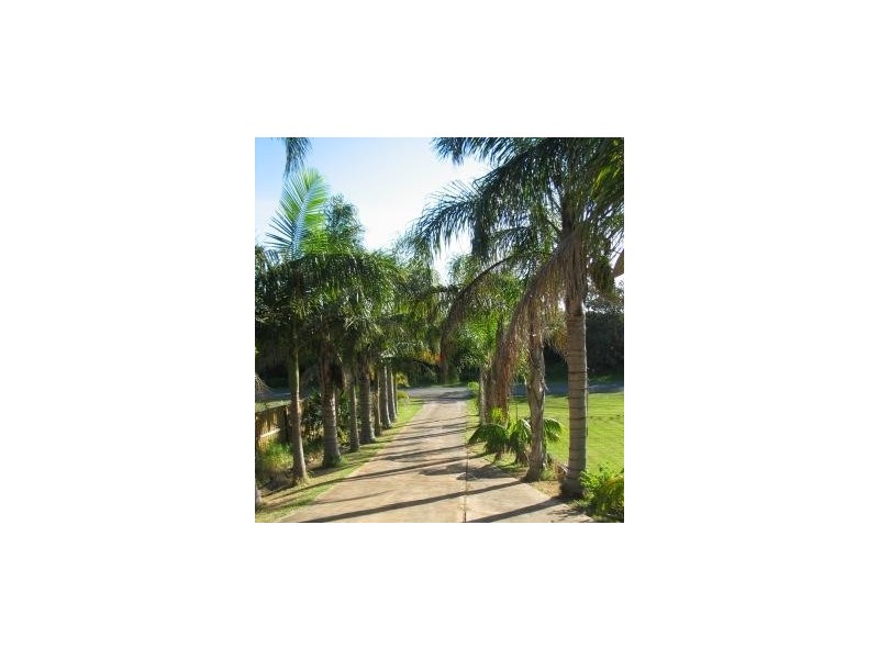 50 East Crescent, Culburra Beach NSW 2540