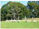 183a BTU Road, Nowra Hill NSW 2540