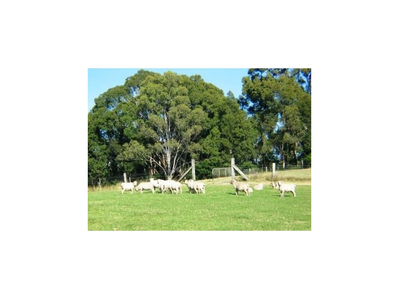 183a BTU Road, Nowra Hill NSW 2540