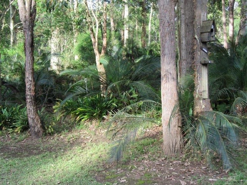 3 Rebecca Grove, Bangalee, North Nowra NSW 2541