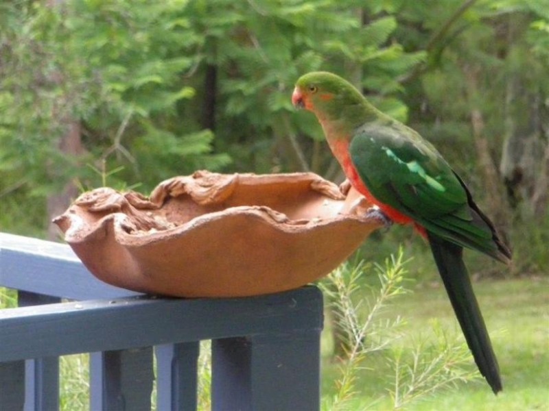 3 Rebecca Grove, Bangalee, North Nowra NSW 2541