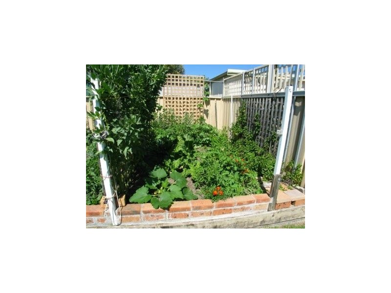 3 Mawson Road, Shoalhaven Heads NSW 2535