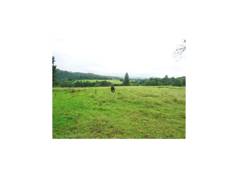 40 Bundewallah Road, Berry NSW 2535