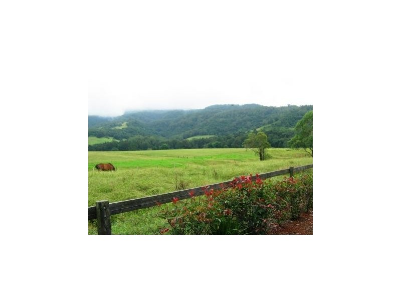 40 Bundewallah Road, Berry NSW 2535