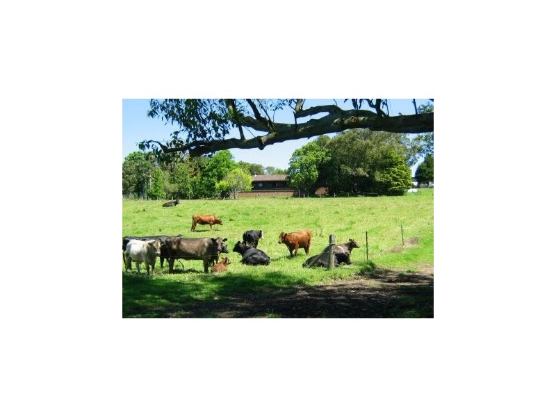 42 Croziers Road, Berry NSW 2535