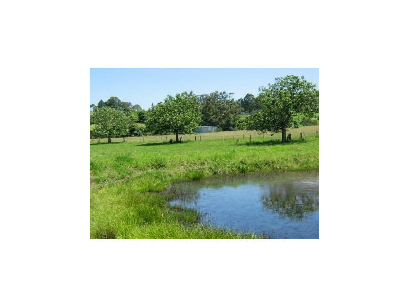 42 Croziers Road, Berry NSW 2535