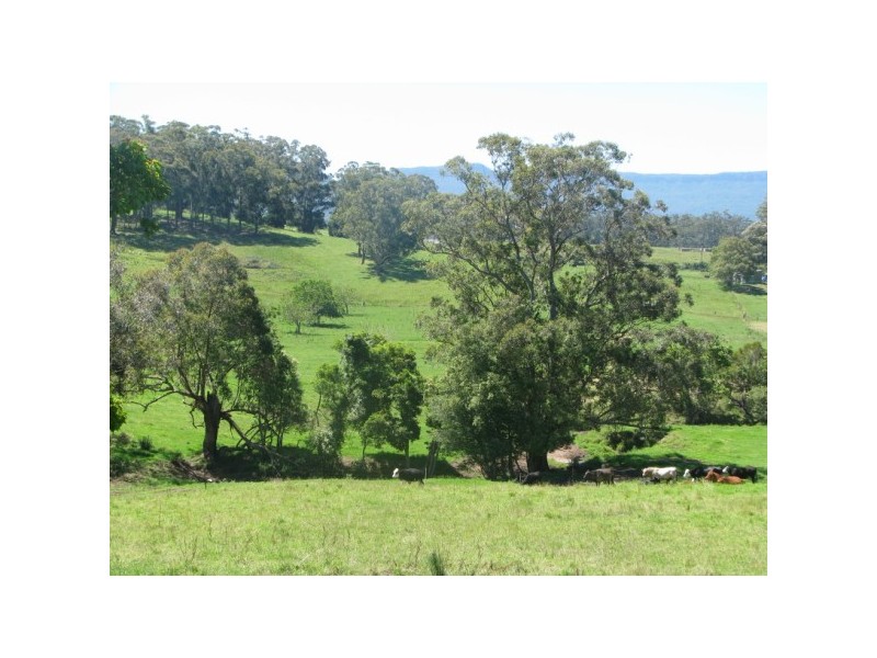 42 Croziers Road, Berry NSW 2535