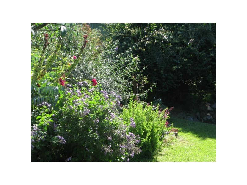 42 Croziers Road, Berry NSW 2535