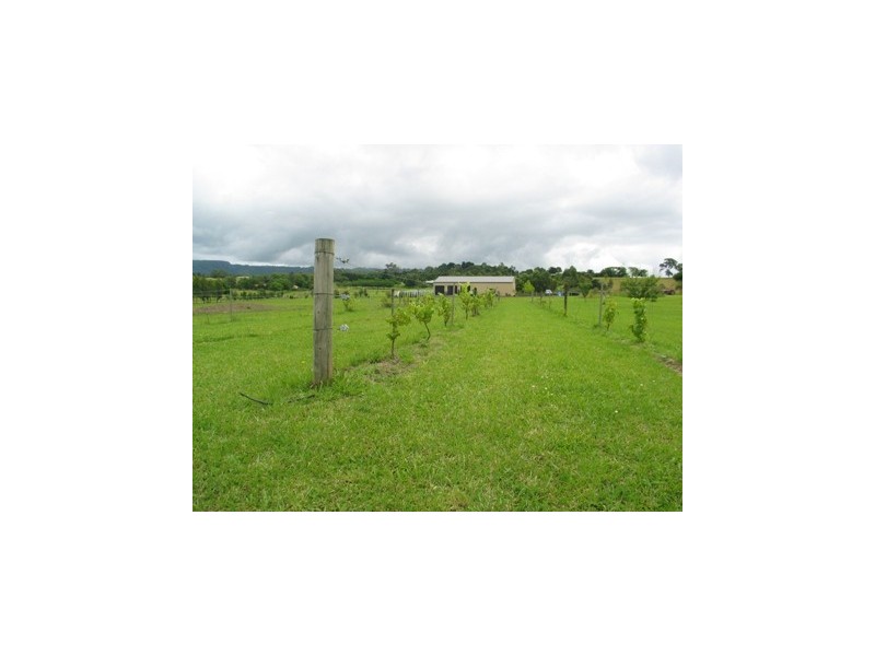 10d Jaspers Brush Road, Berry NSW 2535